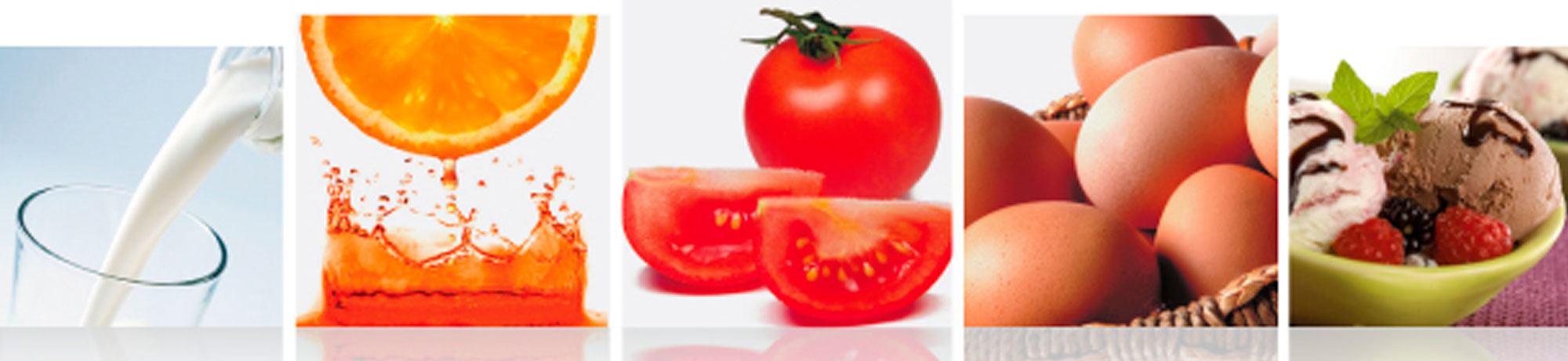 Banner-fbfandina-frutas